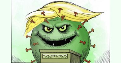 Coronavirus disinformation