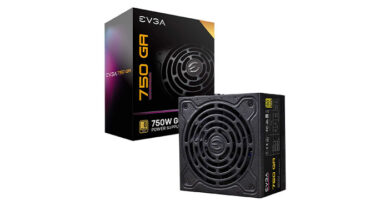 EVGA 220 750W