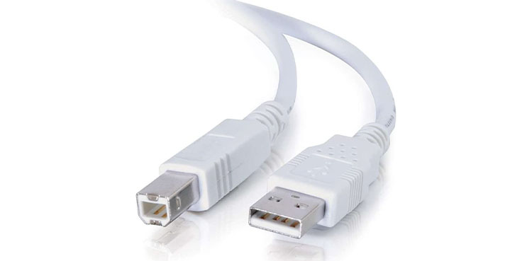 Cables To Go USB A Male to B Male